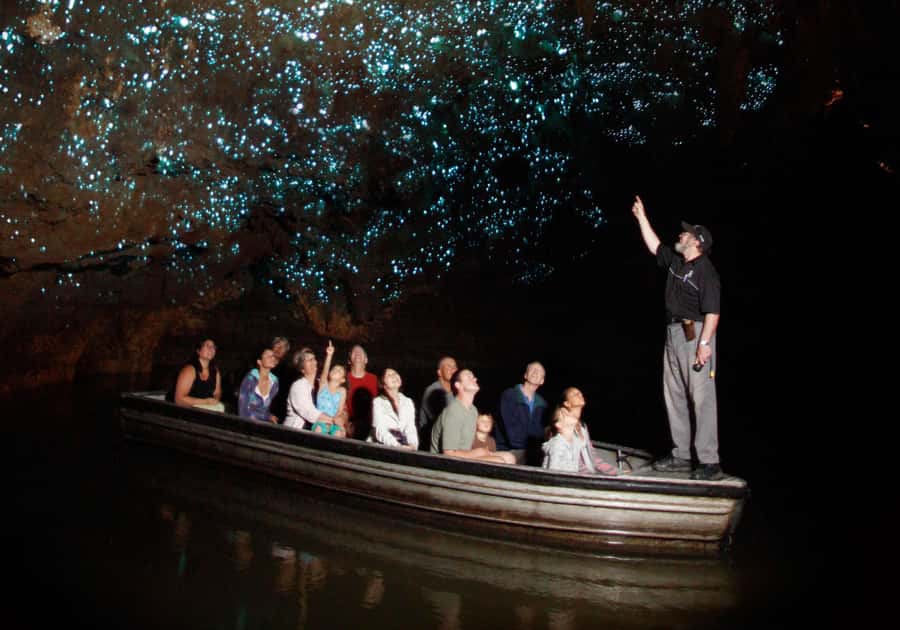 From Auckland: Rotorua Māori Village, Haka & Glowworm Caves - What the $226 price really covers