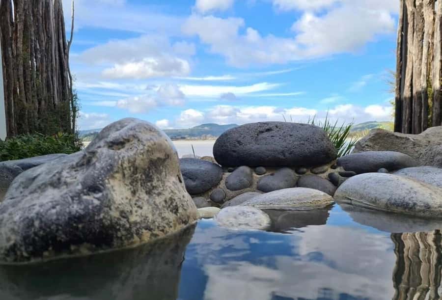 From Auckland: Rotorua Māori Village & Hot Springs with Haka - Is $236 good value?