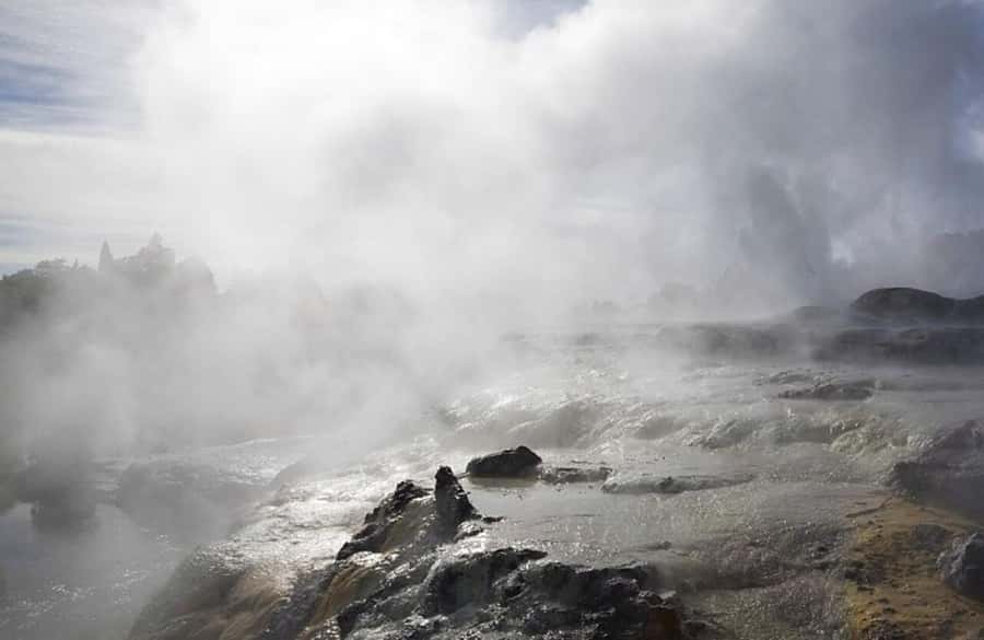 From Auckland: Rotorua Māori Village & Hot Springs with Haka - Who should book this experience?