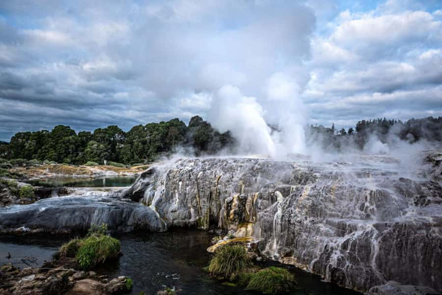 From Auckland: Rotorua Te Puia, Haka & Polynesian Spa Tour - Key points at a glance