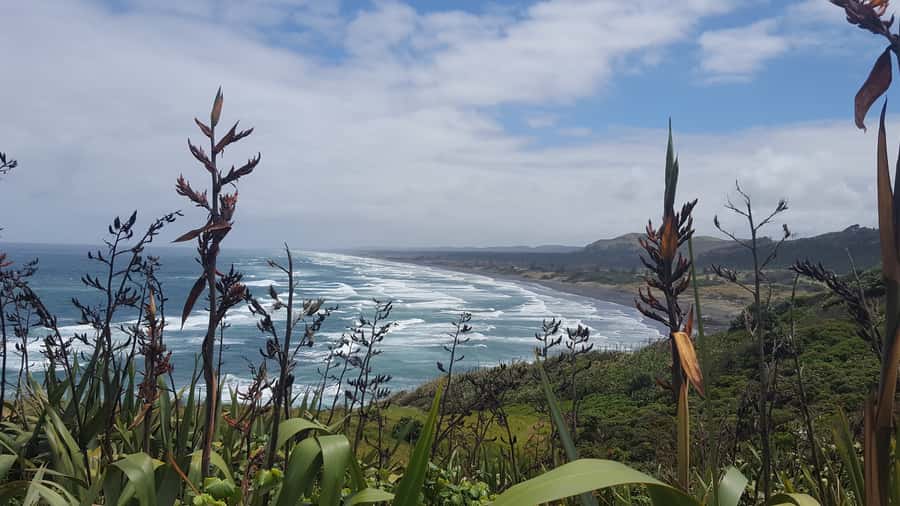 From Auckland: Small Group Kumeu Wine Tour with Lunch - Timing, age rules, and booking details
