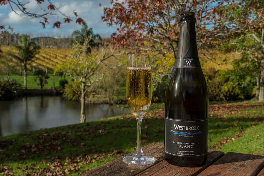 From Auckland: Small Group Kumeu Wine Tour with Lunch - Soljans, the first taste of Kumeu