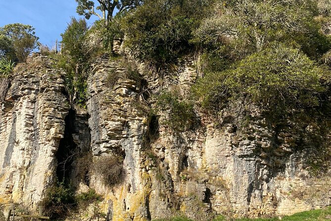 From Auckland: Spellbound, Waitomo Glowworm Cave Small Group Tour - What the Spellbound experience actually includes