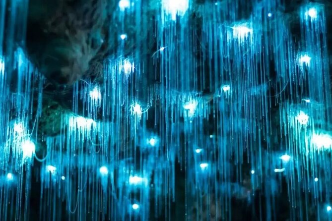 From Auckland: Spellbound, Waitomo Glowworm Cave Small Group Tour - Entering the first cave for the glowworms