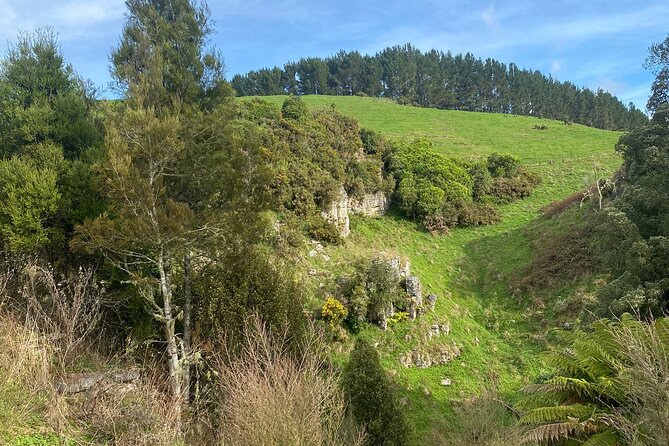 From Auckland: Spellbound, Waitomo Glowworm Cave Small Group Tour - Lunch in Otorohanga before the return trip
