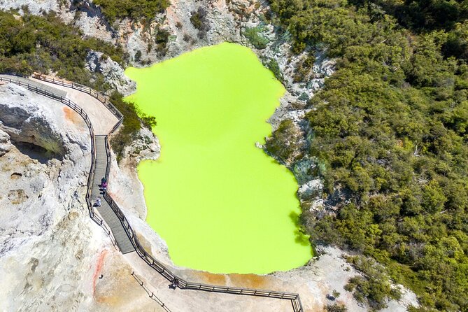 From Auckland to Rotorua Waiotapu and Activity Combinations - Who should book this Auckland to Rotorua day trip