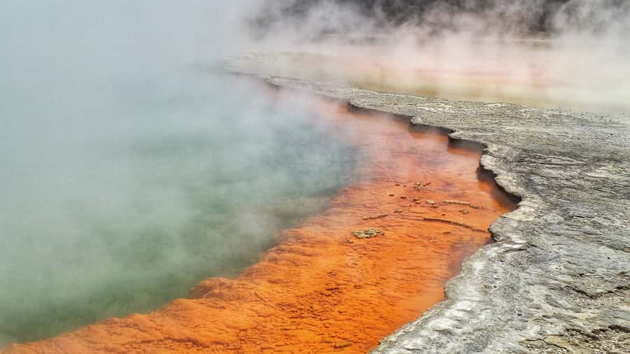 From Auckland: Two-Day Hobbiton, Rotorua, Waitomo Caves Tour - Who Will Get the Most From This Tour