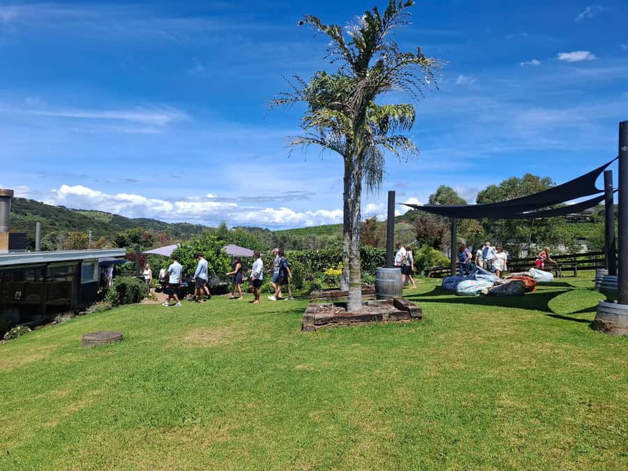From Auckland: Waiheke Island Sip & Savour Tour with Lunch - Food pairings and olive oil add variety
