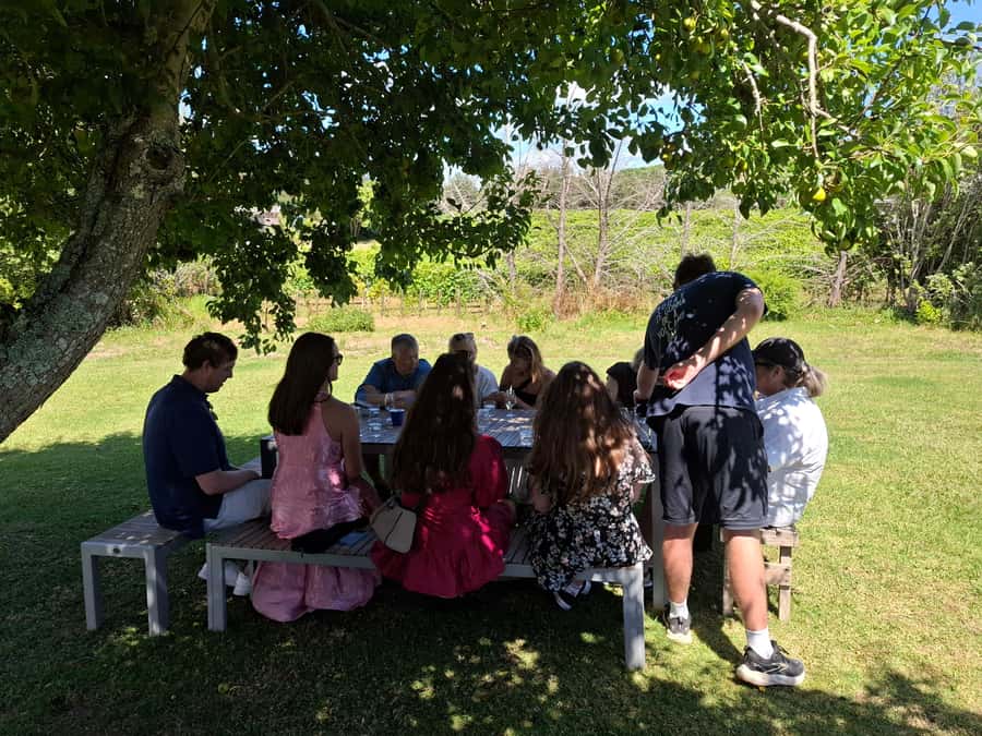 From Auckland: Waiheke Island Sip & Savour Tour with Lunch - The final vineyard may change with the season