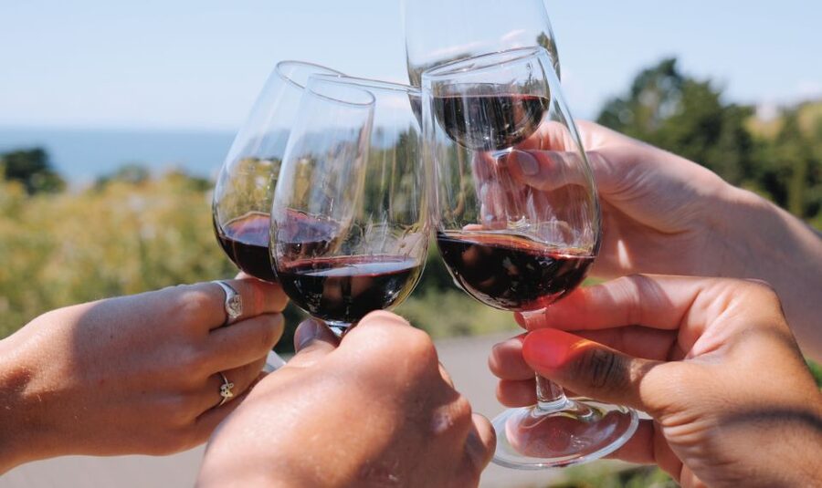 From Auckland: Waiheke Island Wine Cellar Tour - Is $122 good value?