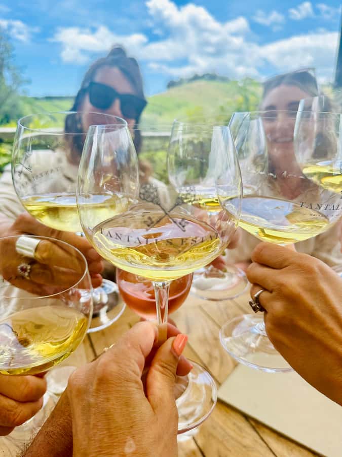 From Auckland: Waiheke Island Wineries' Tour - Key points before you book