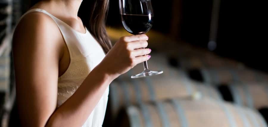 From Auckland: Waiheke Island Wineries' Tour - Four wineries, with a different feel at each stop