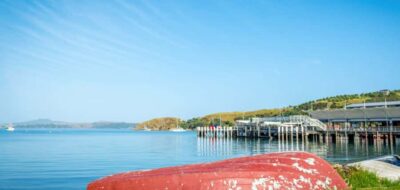 Waiheke Island Wineries’ Tour