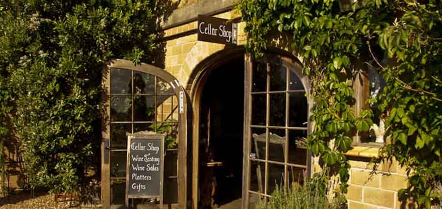 From Auckland: Waiheke Island Wineries' Tour - Olive oil, beer, and other changes to the route