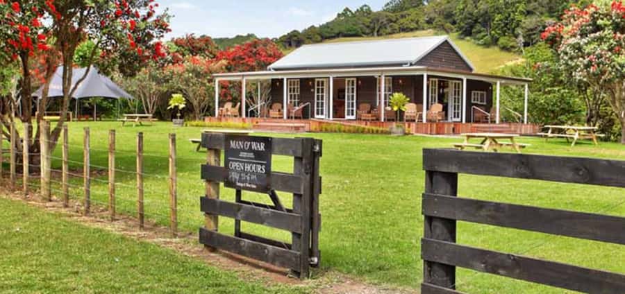 From Auckland: Waiheke Island Wineries' Tour - Is $110 good value?