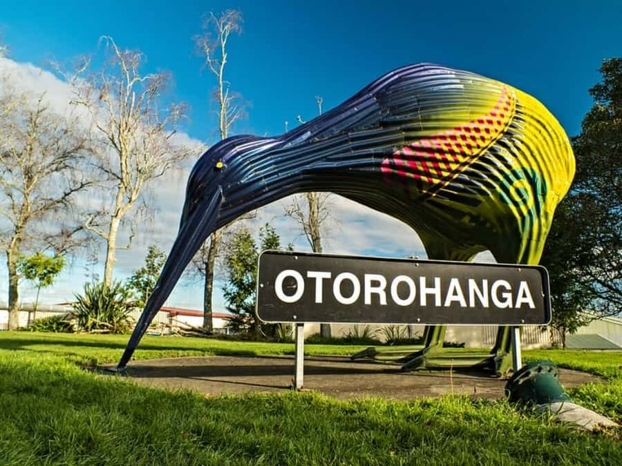 From Auckland: Waitomo Caves and Kiwi House Group Tour - Otorohanga Kiwi House and its native birds