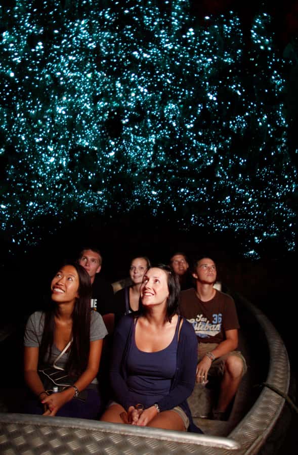 From Auckland: Waitomo Caves and Kiwi House Group Tour - The drive south from Auckland