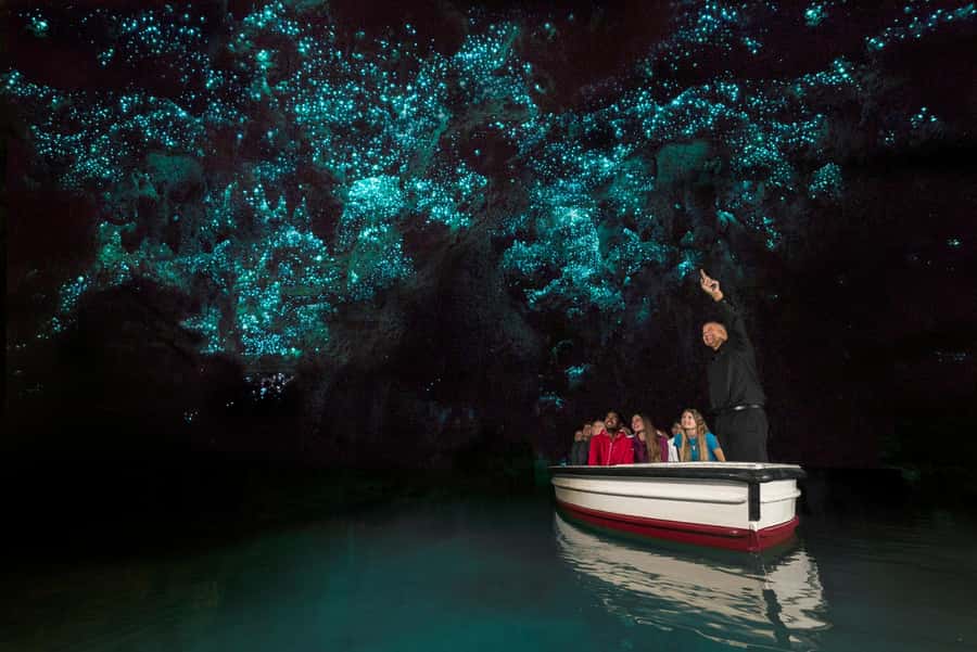 From Auckland: Waitomo Glow Worm Caves & Rotorua Tour - A big North Island day from Auckland