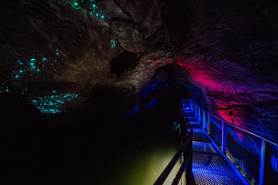 From Auckland: Waitomo Glowworm and Ruakuri Caves Day Tour - Clothing, Cameras, and Physical Demands