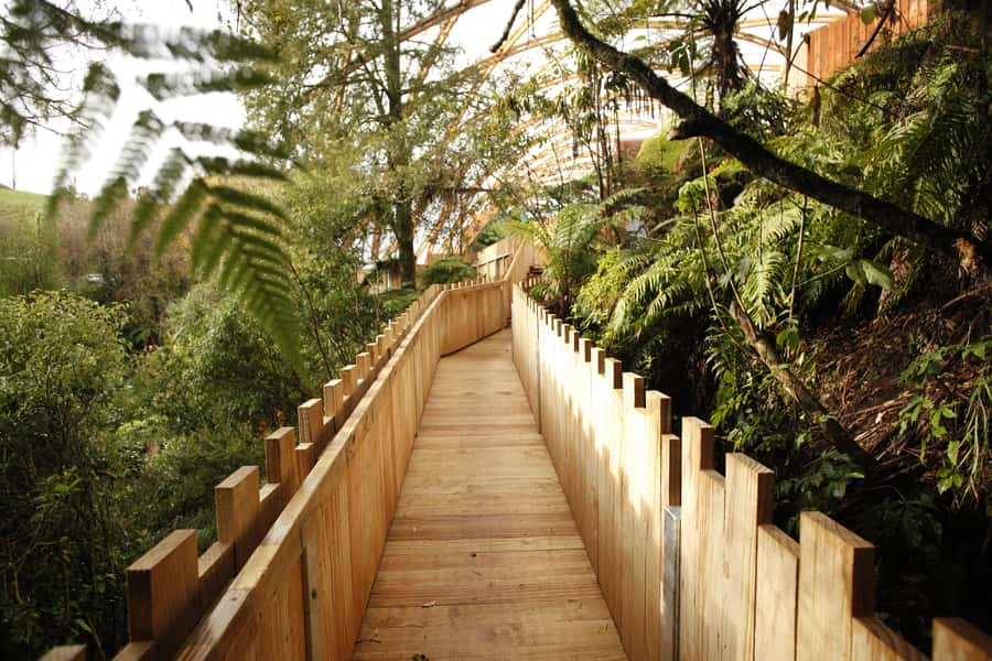 From Auckland: Waitomo Glowworm and Ruakuri Caves Day Tour - Should You Book the Waitomo and Ruakuri Combo?