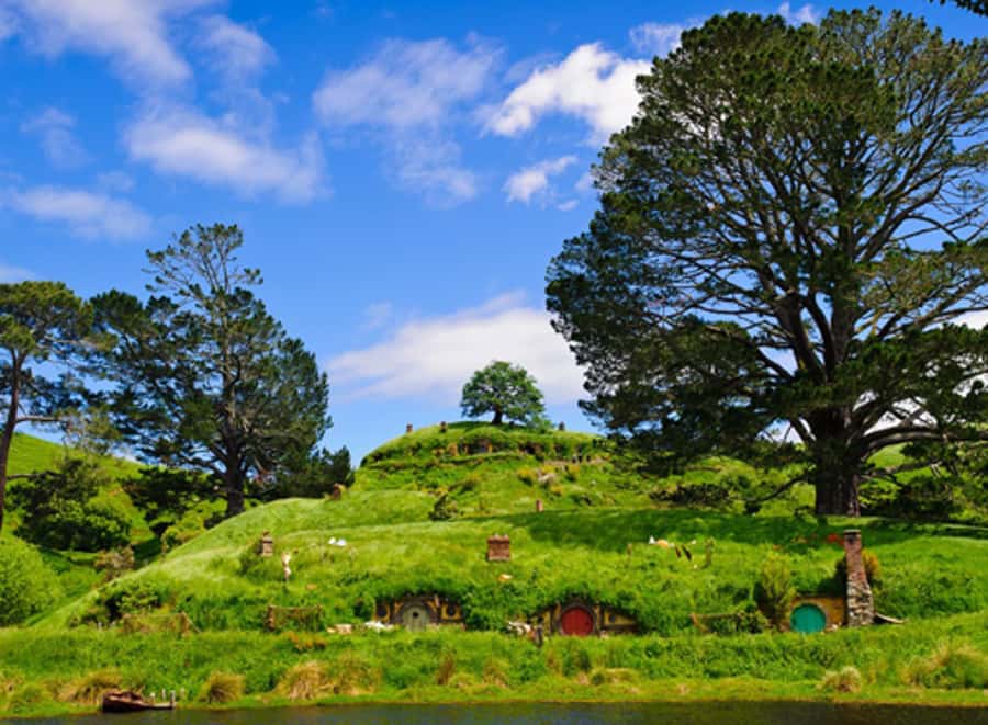 From Auckland: Waitomo & Hobbiton Bus Tour with Lunch - Waitomo Glowworm Caves: a quiet underground show