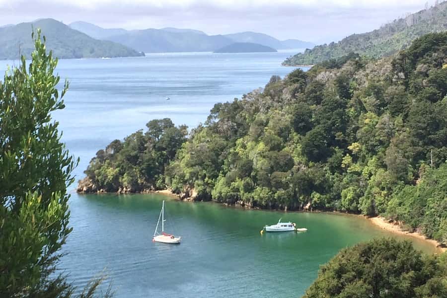 From Blenheim/Picton: Marlborough Gourmet Wine Tasting Tour - Key points at a glance