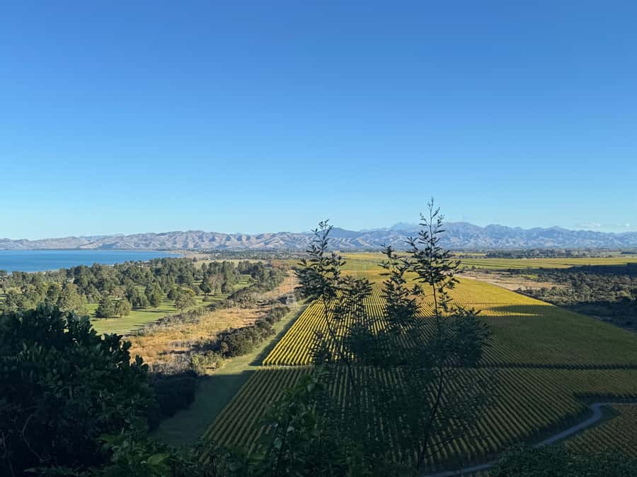 From Blenheim/Picton: Marlborough Gourmet Wine Tasting Tour - Crossing the Wairau Valley