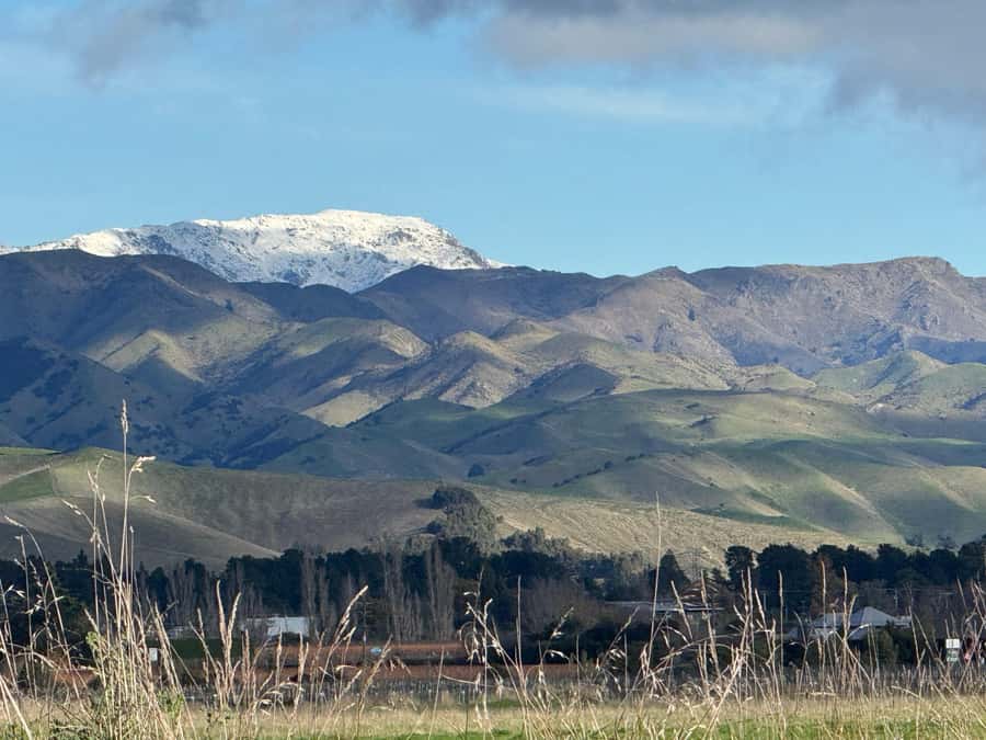 From Blenheim/Picton: Marlborough Gourmet Wine Tasting Tour - Tasting Marlborough beyond Sauvignon Blanc