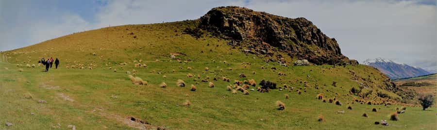 From Christchurch: Full-Day Lord of the Rings Tour to Edoras - Weather, clothing, and the walk