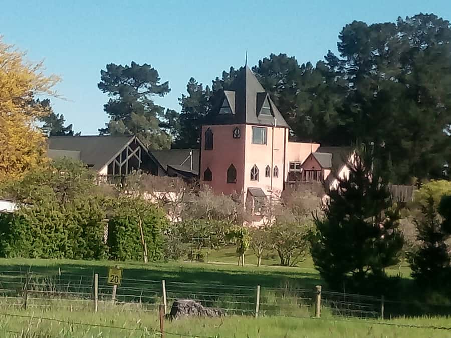 From Christchurch: Guided Local Wine Tours in Waipara - Three or four boutique wineries, at your pace
