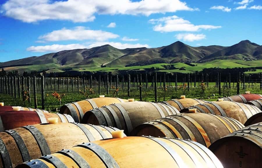 From Christchurch: Guided Local Wine Tours in Waipara - From Christchurch pickup to the first glass