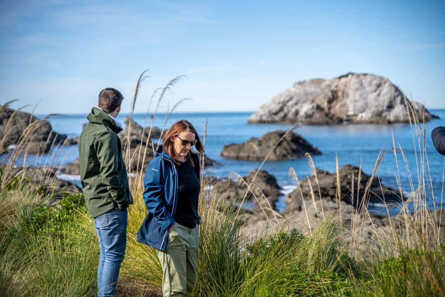 From Christchurch: Kaikōura Day Tour With Dolphin Encounter - Fish and chips before the main event