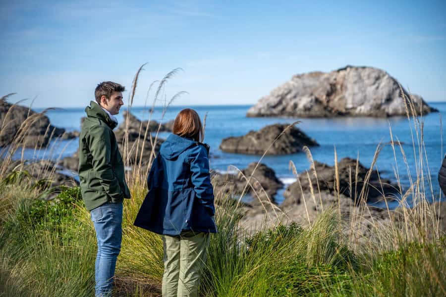 From Christchurch: Kaikōura Day Tour with Whale Watching - Key points to know before booking