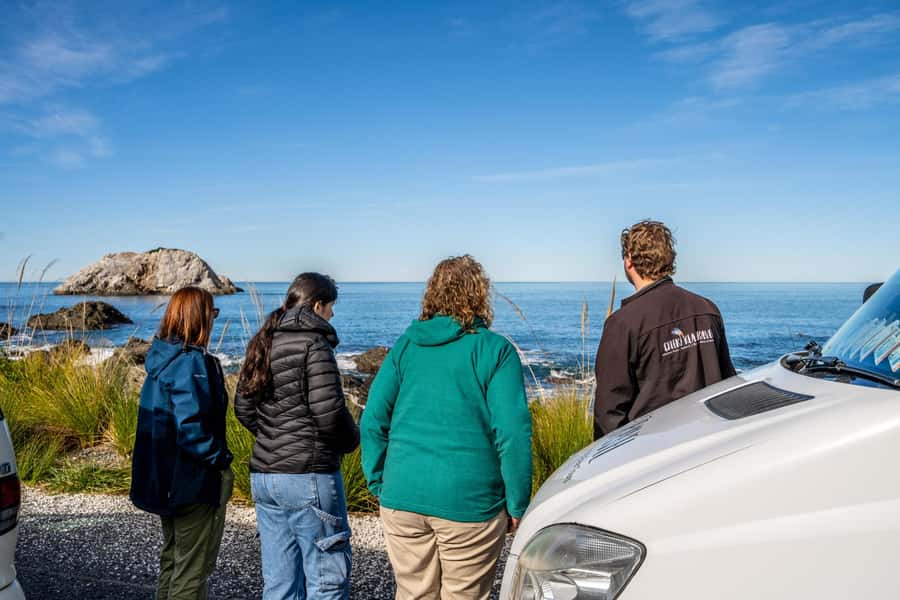 From Christchurch: Kaikōura Day Tour with Whale Watching - The value of $227 per person