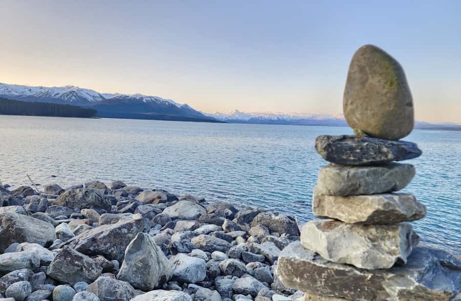 From Christchurch: Mt Cook Day Tour & Lake Tekapo - Key points to know before booking
