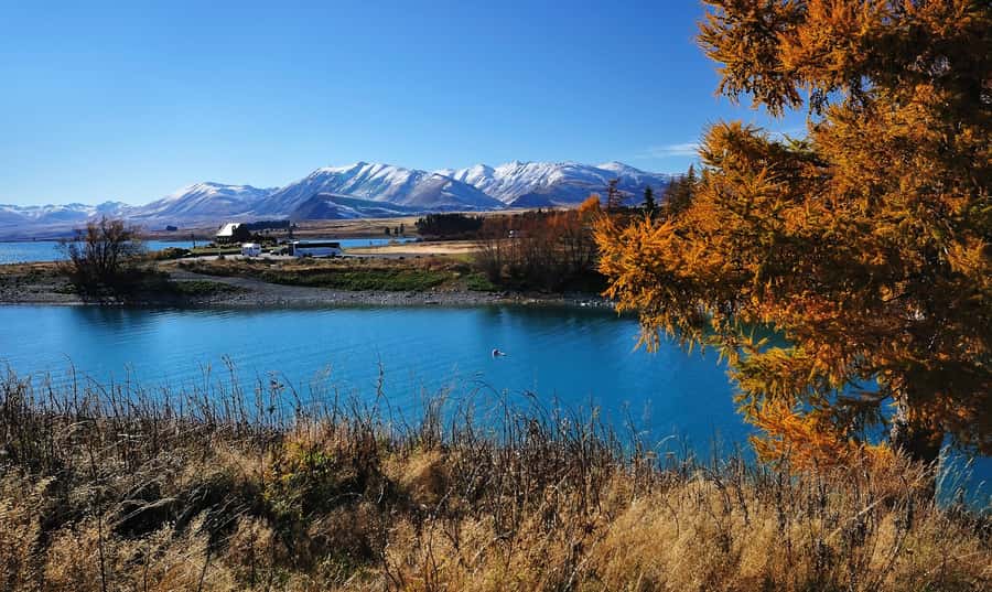 From Christchurch: Queenstown via Tekapo & Mt Cook Day Trip - Two hours at Aoraki Mt Cook National Park