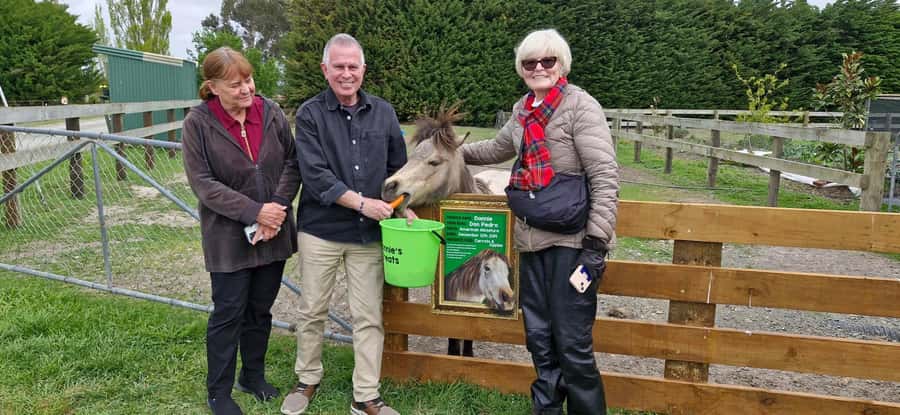 From Christchurch: Sheep Farm Day Trip with Lunch & Winery - From Christchurch streets to the Waipara Valley