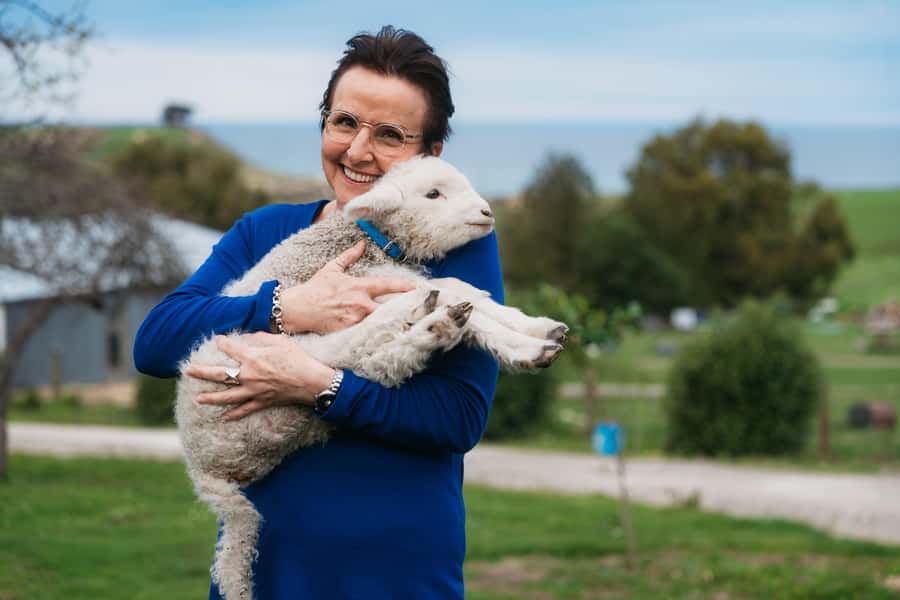 From Christchurch: Sheep Farm Day Trip with Lunch & Winery - Sheep shearing is the hands-on highlight