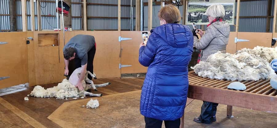 From Christchurch: Sheep Farm Day Trip with Lunch & Winery - Who should book this farm and wine day?