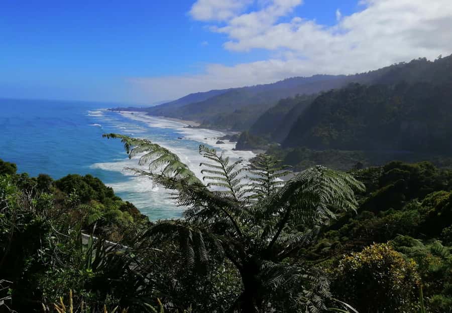 From Greymouth: Highlights West Coast Day Tour - Why this eight-hour route works
