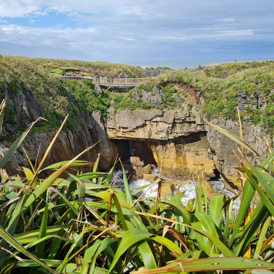 From Greymouth: Highlights West Coast Day Tour - Tauranga Bay and its fur seals