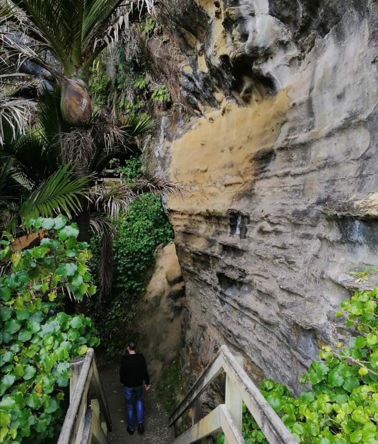 From Greymouth: Highlights West Coast Day Tour - Westport lunch and Shortjaw Brewery