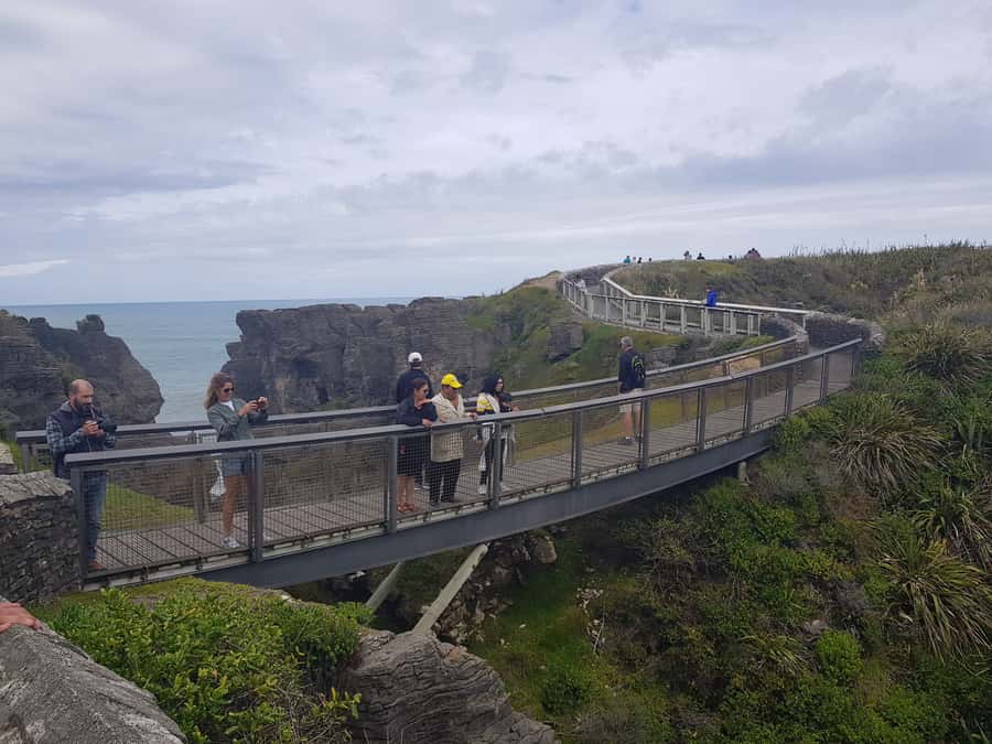 From Greymouth: Punakaiki Blowholes & Pancake Rocks Tour - Key points about the Punakaiki half-day tour