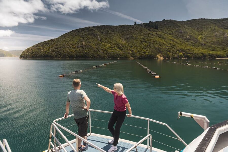 From Havelock: Marlborough Sounds Mail Boat Full-Day Cruise - Who will enjoy this cruise most?