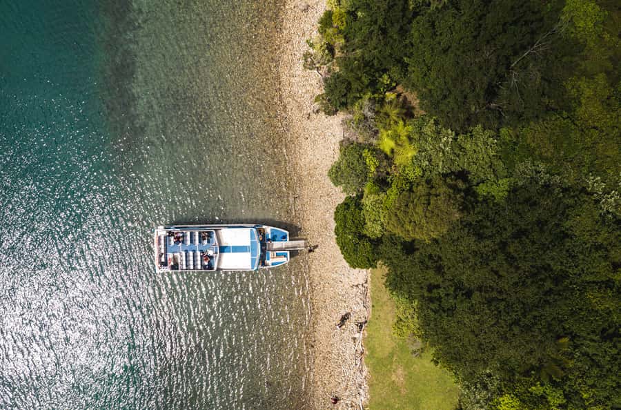 From Havelock: Marlborough Sounds Mail Boat Full-Day Cruise - Commentary, crew, and the feel of the day