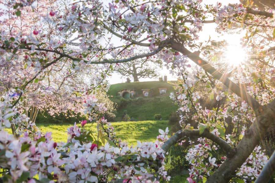 From Matamata: Guided Hobbiton Experience with Bus Transfers - Who should book this Hobbiton tour?
