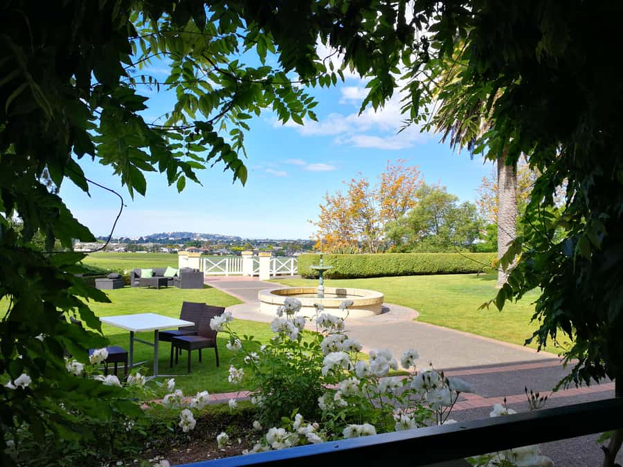 From Napier: Hawke's Bay Small Group Wine Capita Tour - Why Gimblett Gravels matters to wine drinkers