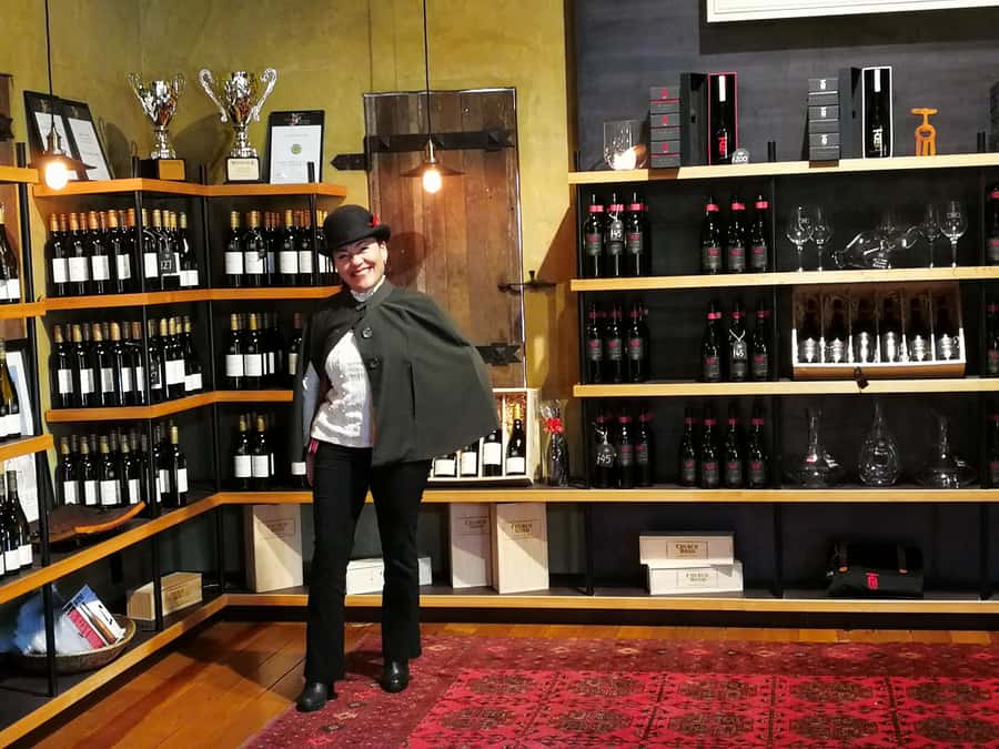 From Napier: Hawke's Bay Small Group Wine Capita Tour - The winery visits and tasting pace