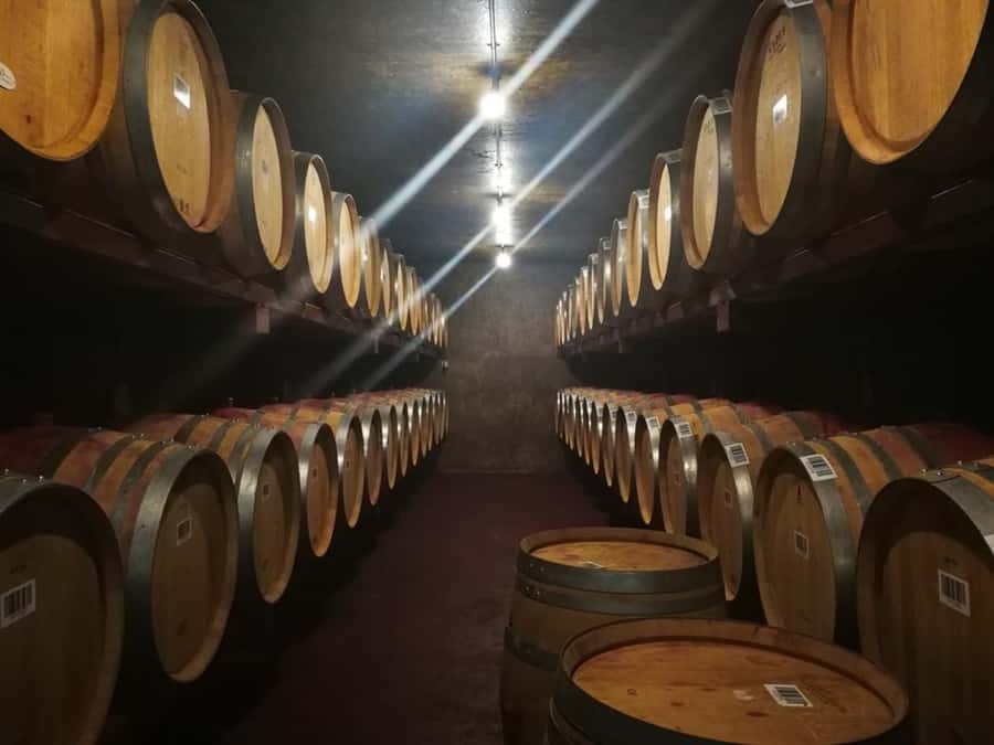 From Napier: Hawke's Bay Small Group Wine Capita Tour - A guide-led look at Hawke’s Bay