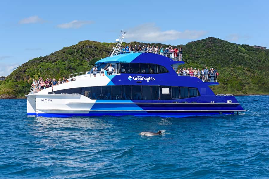 From Paihia: Full-Day Bay of Islands Cruise - Wildlife watching, with realistic expectations